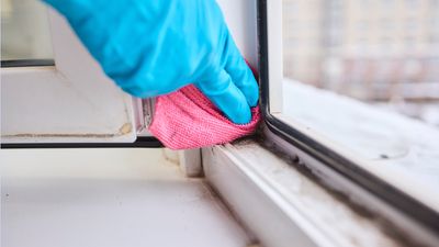 I tried this weird TikTok cleaning hack on my window tracks, and now they're looking spotless for spring