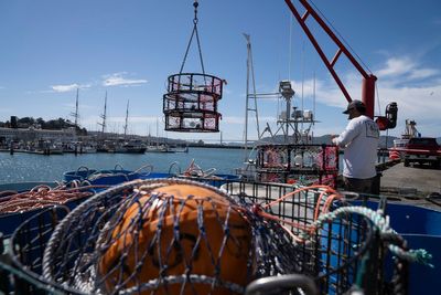 California crews experiment with new fishing methods designed to protect mammals in the sea