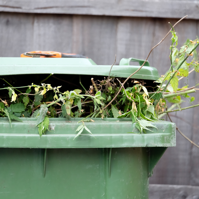 5 things you should never put in your garden waste bin – experts warn these items could land you with a £400 fine