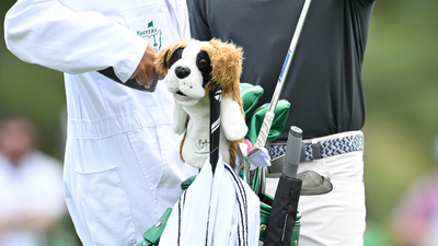 Why Does Rory McIlroy Have A Dog Headcover For His Driver?