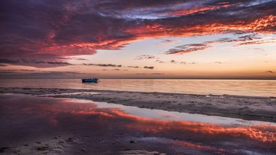 "Composition rules are valuable, but can be limiting. Experiment with unconventional approaches that highlight the subject, rather than forcing camera techniques that don’t fit"