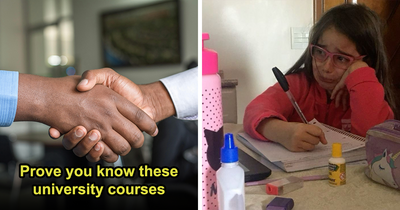 21 Questions To Challenge Yourself: Prove You Know Which University Courses These Are