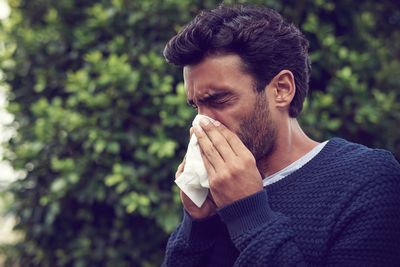 Warnings for hay fever sufferers, with pollen count ‘very high’