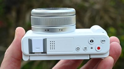 When nasty little digital cameras come good – I've been tripping the plastic fantastic on a quest for a budget point-and-shoot compact that actually takes okay photos