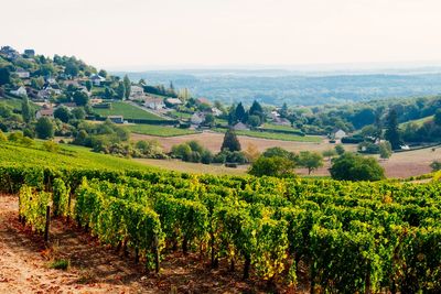 Fancy France for your summer holidays? Here’s some of the best breaks to book