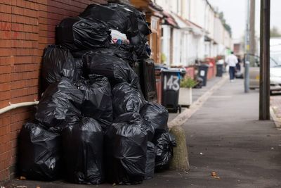 Man whose Mercedes was destroyed by rats ‘disappointed’ bin strike continuing
