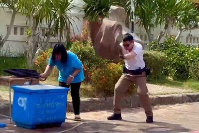 Policeman saves woman from swarm of bees at temple