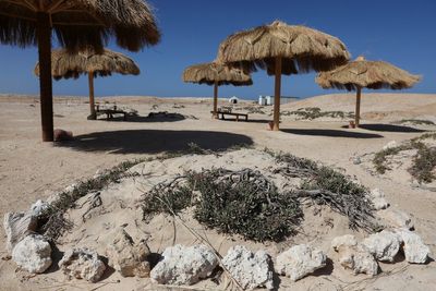 Egypt’s tourism boost risks ruining country’s beaches forever, campaigners warn