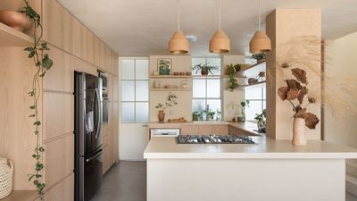 5 Houseplant Humidity Myths That Are Wasting Your Time and Not Actually Helping Your Plants