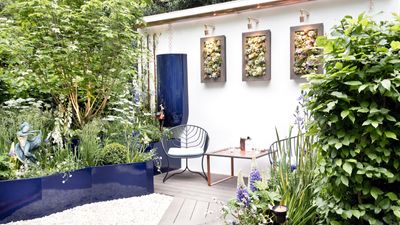 Urban gardening ideas – 7 creative ways to grow in small spaces, balconies, containers, indoors, and more