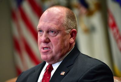 DOGE Chatbot Checks Trump's Border Czar for Desire to Target Anyone Who 'Shields Illegal Immigrants': 'Bureaucratic Overreach'