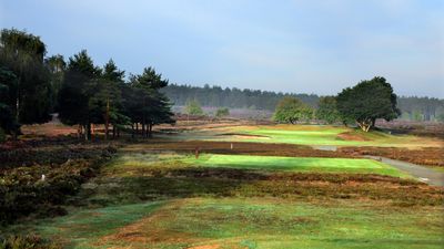 Hankley Common Golf Club: Course Review, Tee Times and Key Info