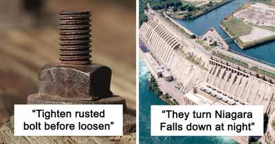 Someone Asked Folks To Share The Best Fact They’ve Ever Heard, Here Are The 30 Most Interesting