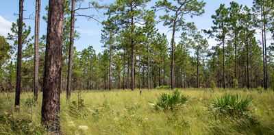 Wide variety of old-growth ecosystems across the US makes their conservation a complex challenge