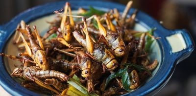 Africa’s superfood heroes – from teff to insects – deserve more attention