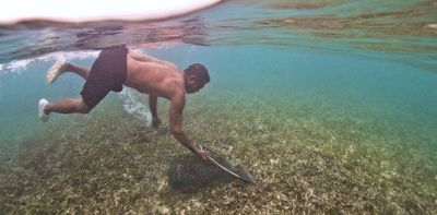 Human connections to seagrass meadows date back 180,000 years, study reveals