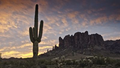 Lost in the desert for two days – two Arizona desert hikers rescued in separate incidents