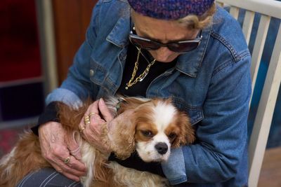 Dog reunites with Israeli family after disappearing for 18 months in Gaza
