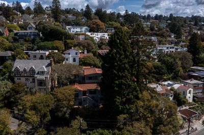 Cut back your roses? Berkeley sets new rules for its most wildfire-prone areas