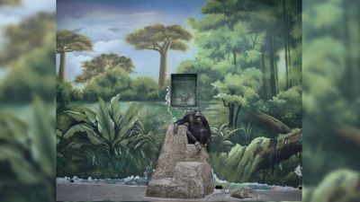 British photographer Zed Nelson wins Sony World Photography Awards 2025, beating a staggering 419,820 other entries