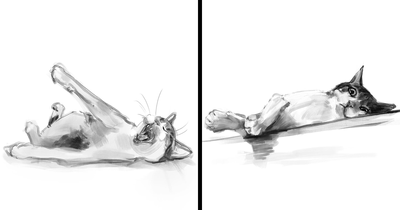 Digital Cat Art By Jinodae That Brings Felines To Life With Simple, Realistic Drawings (19 Pics)