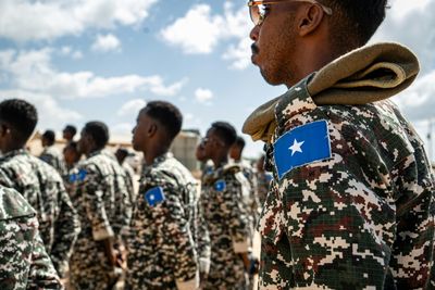 Somalia Air Strikes, Combat Kill Dozens Of Jihadists: Govt