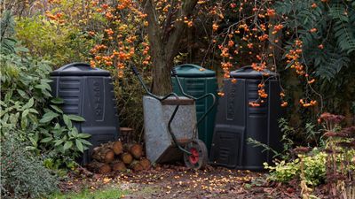 Experts swear by this lazy composting method – it's the most low-maintenance way to make nutrient-rich growing matter