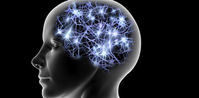 How does your brain create new memories? Neuroscientists discover ‘rules’ for how neurons encode new information