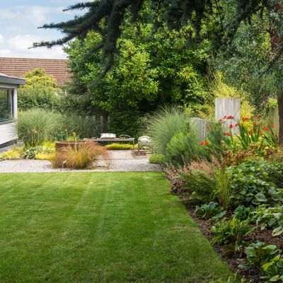Garden expert reveals when to mow new turf and the 3 tell-tale signs your new lawn is ready to be cut