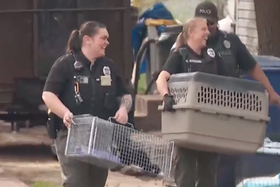 More than 150 dogs living in ‘extremely poor’ condition rescued from single home in Utah