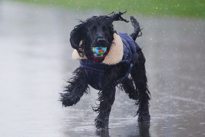 Rain warning to come into force marking damp start to Easter bank holiday