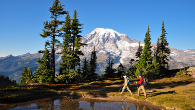 Dismayed hikers offer donations to Washington State transport department as it announces there is "no funding" to replace popular bridge in Mount Rainier National Park