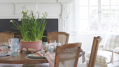 5 gorgeous ways to arrange daffodils for a seasonal spring display