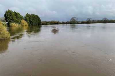 Status orange rain weather warning issued