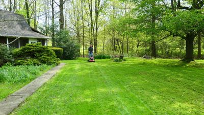 Lawn experts recommend these 4 steps to fix an overgrown lawn, plus they reveal one golden rule never to break