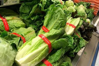 US government kept deadly E.coli outbreak secret