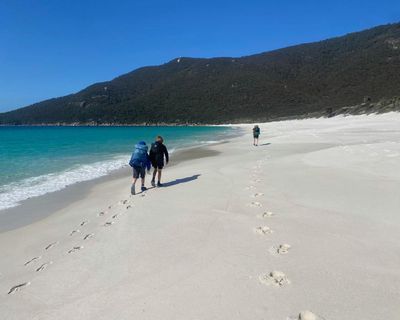 Wombats, wallabies and whales: four days walking in Wilsons Promontory national park