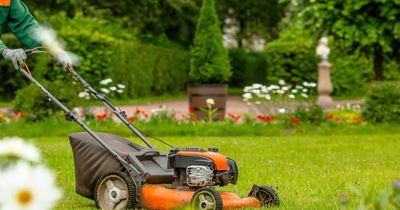 Councillors to consider reducing lawnmower use across local authority