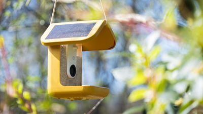 I tested Bird Buddy's Smart Bird Feeder Pro camera in my garden for six months, and its 2K video and AI smarts are some of the best I've seen