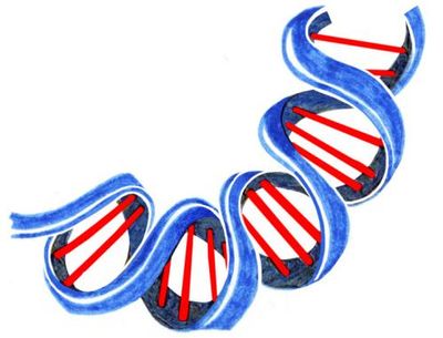 How big is a double helix and is it dark in space? The kids’ quiz