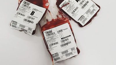 Bleeding the planet dry? Climate change could unlock new threat to the world's blood supply