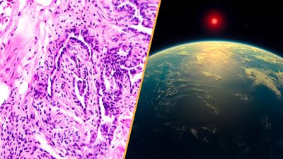Science news this week: Possible signs of life on another planet and a 'useless' female organ