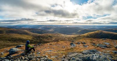 New Highlands woodland to be created as project aims to plant 30,000 trees