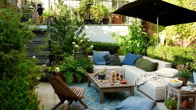 How to Make an Urban Garden More Private — 8 Easy Ways to Keep Prying Eyes Away When You're Overlooked in the City