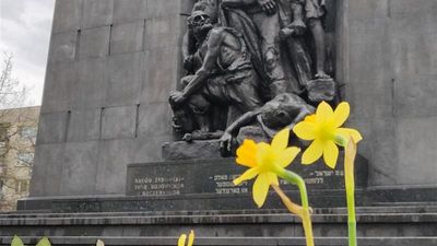 Daffodils to commemorate the 82nd anniversary of the Warsaw Ghetto Uprising