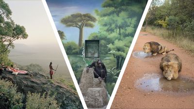 “If AI erodes people's belief in photography, then we have problems” – we talk AI and cameras with the winner of the Sony World Photography Awards 2025