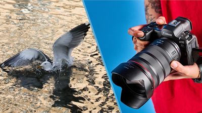 I just tested the Canon EOS R5 Mark II to photograph wildlife — and this one feature has changed how I take photos forever