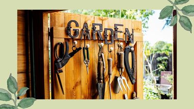 How to declutter your shed for a calm, more functional space – where everything is immediately accessible