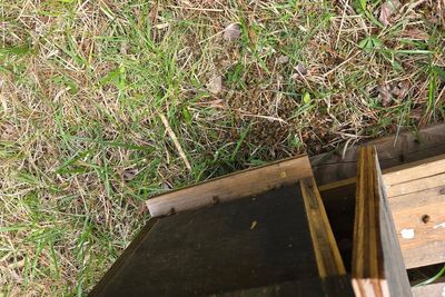 500,000 honeybees dead in suspected poisoning at Virginia farm
