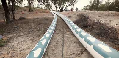 How a new ‘Fishheart’ project is combining science, community and Indigenous art to restore life in the Baaka-Darling River